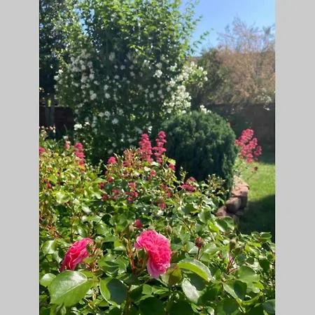 Le Clos D'azel - Le Du Cocher Avec Piscine Holiday home *