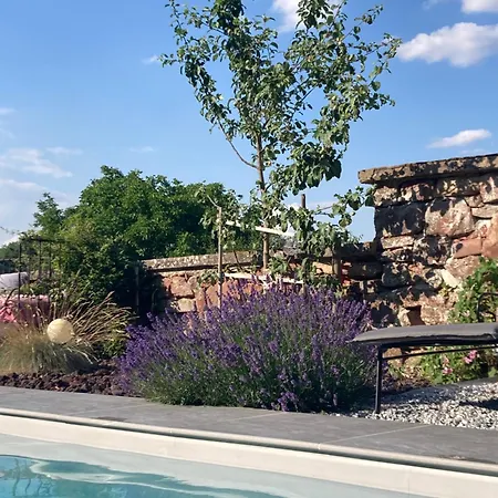 Le Clos D'azel - Le Du Cocher Avec Piscine Holiday home